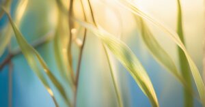 Jak wybaczyć zdradę: droga do uzdrowienia związku